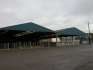 Melton Cattle Market